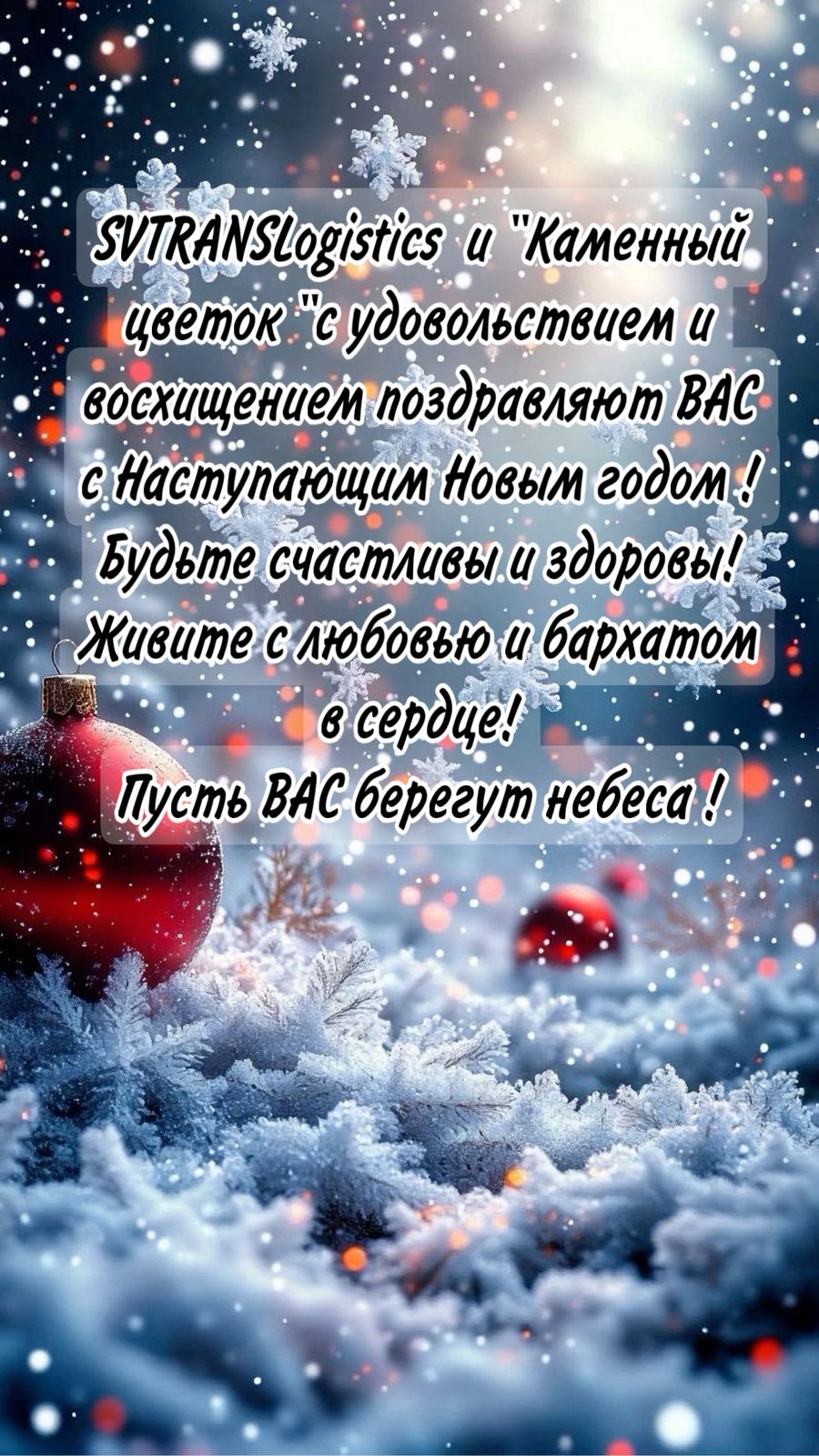 WhatsApp Image 2025-12-30 at 09.41.52